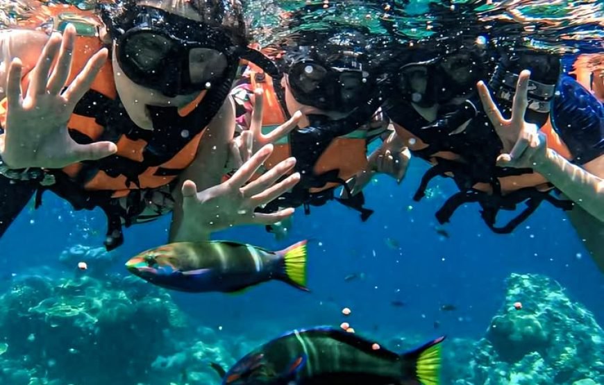 Private Turtle Beach Trip from Hurghada – VIP