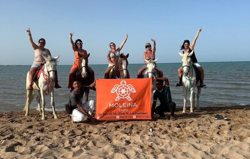 Horse Riding & Swimming in the Red Sea – Hurghada