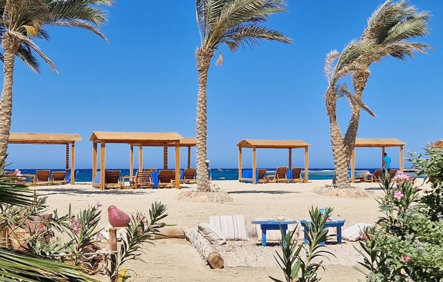 Private Turtle Beach Trip from Hurghada – VIP