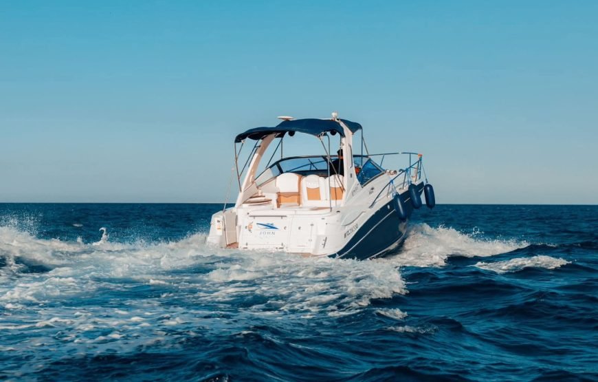 Speed Boat Private 4H guarantee Swimi with Dolphins