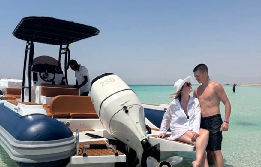 Speed Boat Private 4H guarantee Swimi with Dolphins