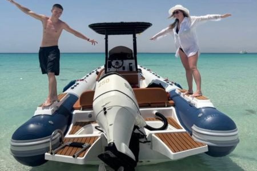 Speed Boat Private 4H guarantee Swimi with Dolphins