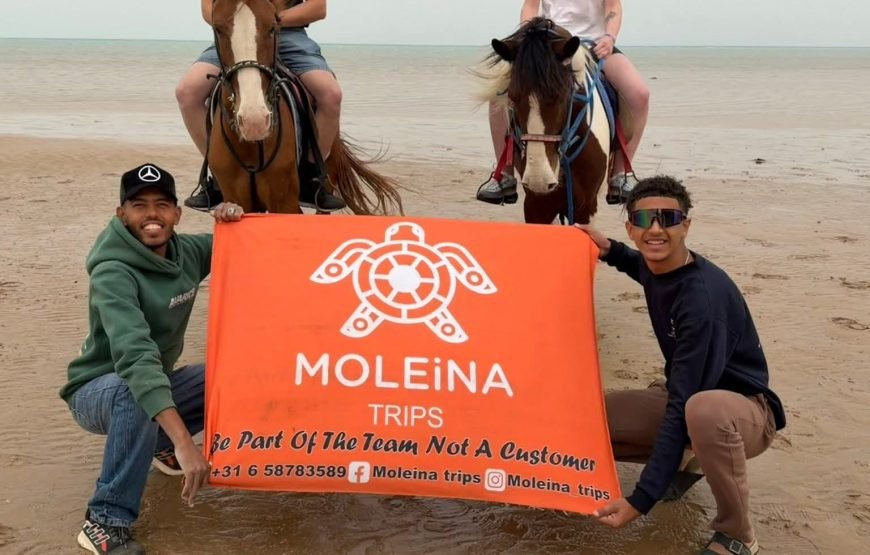 Horse Riding & Swimming in the Red Sea – Hurghada
