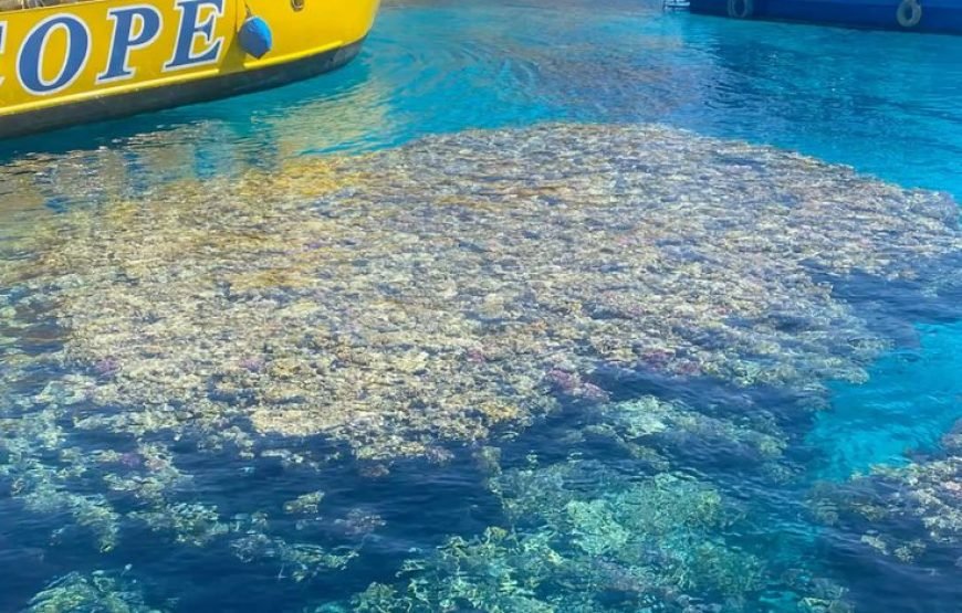 Panorama Semi-Submarine trip