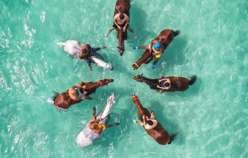 Horse Riding & Swimming in the Red Sea – Hurghada