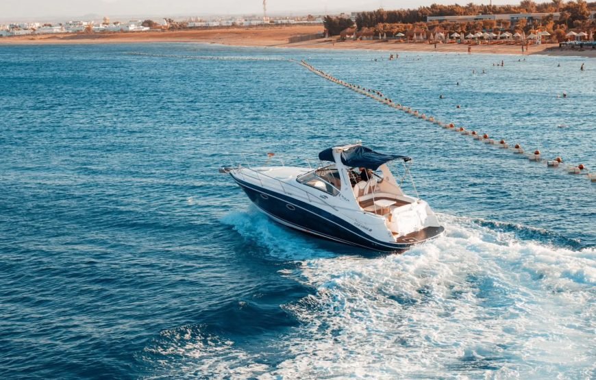 Speed Boat Private 4H guarantee Swimi with Dolphins