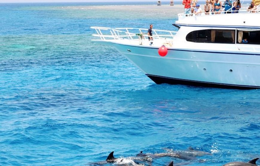 🐬 VIP Dolphin House Snorkeling Trip from Hurghada – Small Group Luxury Experience