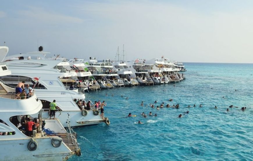 🐬 VIP Dolphin House Snorkeling Trip from Hurghada – Small Group Luxury Experience