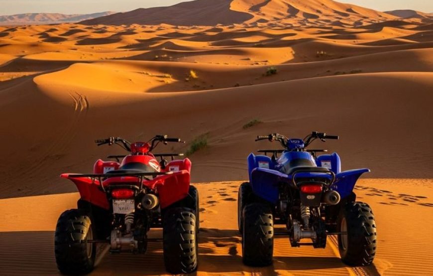 Quad Private Tour Makadi Beach