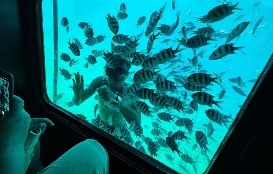 Panorama Semi-Submarine trip