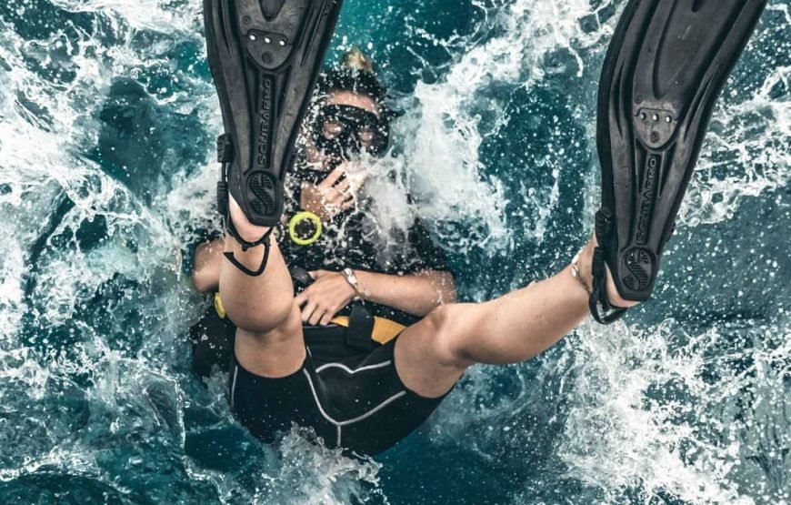 Scuba Diving Full Day Boat Trip for Beginners