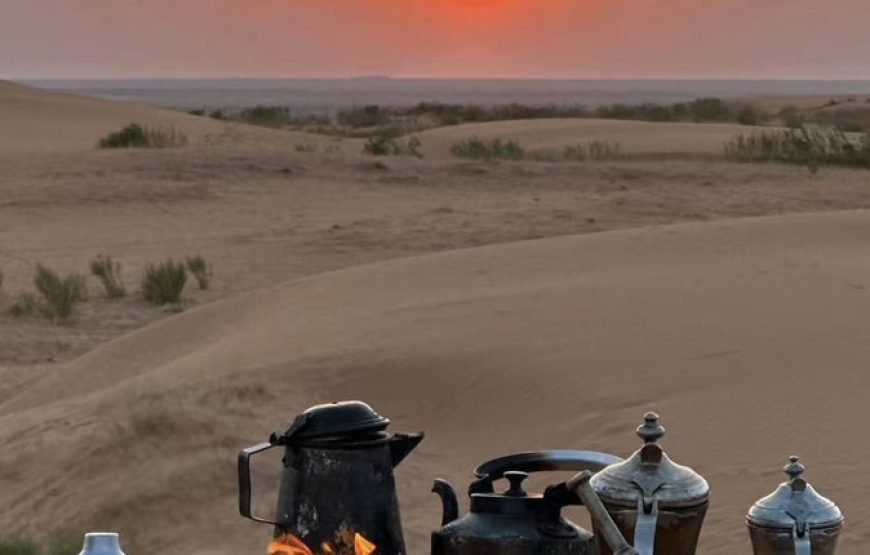 Jeep Safari to Bedouin Village – Adventure & Culture