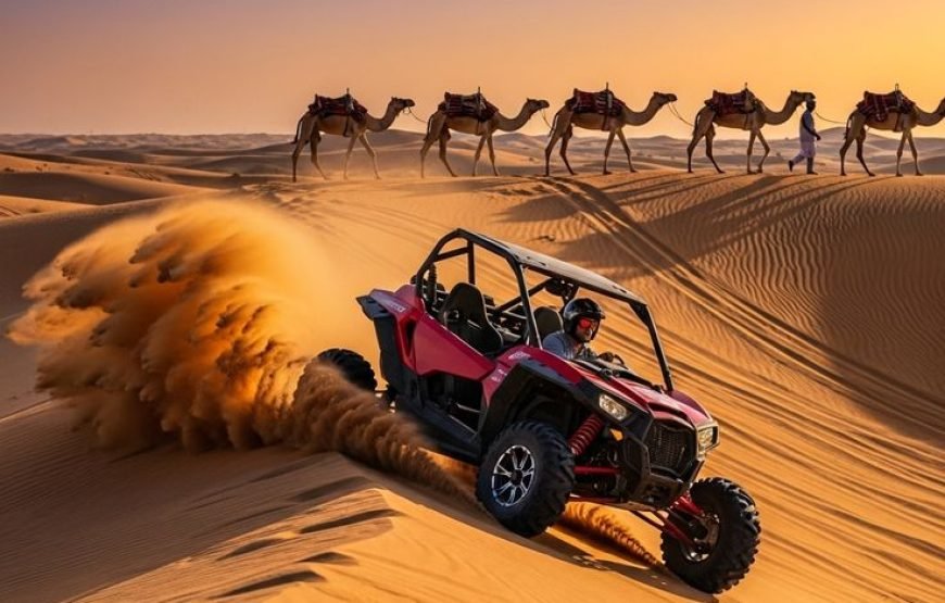 Quad Private Tour Makadi Beach