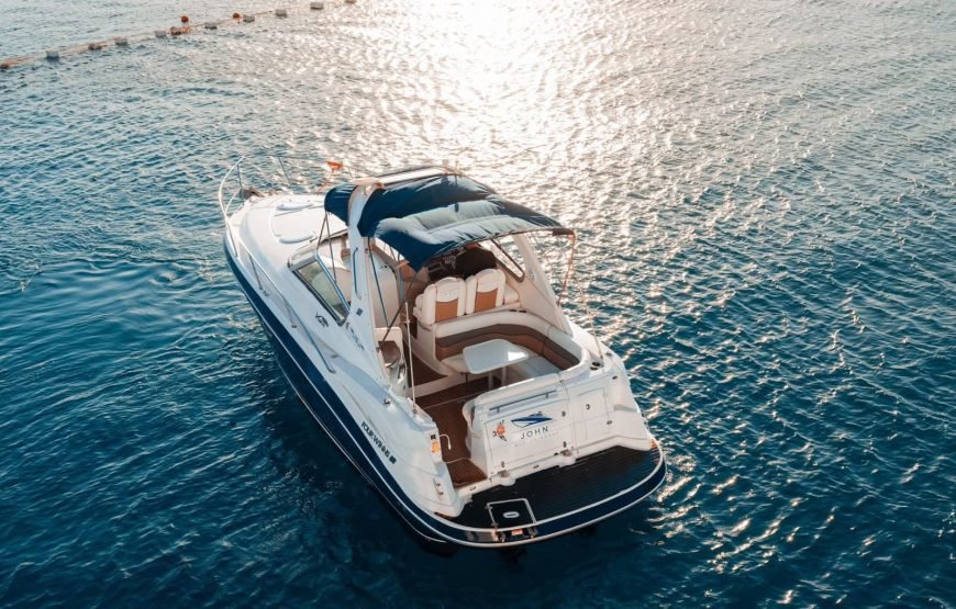 Speed Boat Private 4H guarantee Swimi with Dolphins